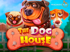 Slotman casino play online. Kedi sözlük anlamı.45